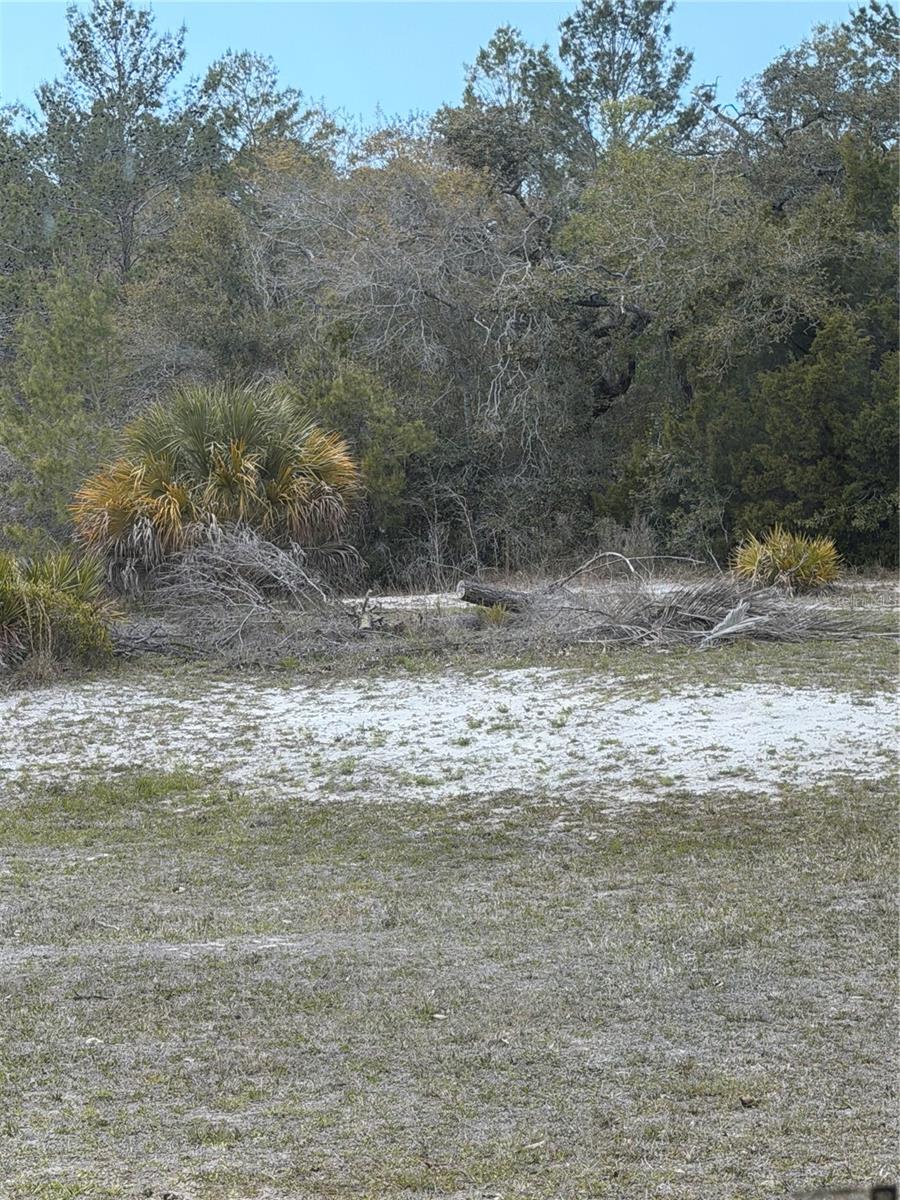 Image 5 of 9 For 0 Bastian Court