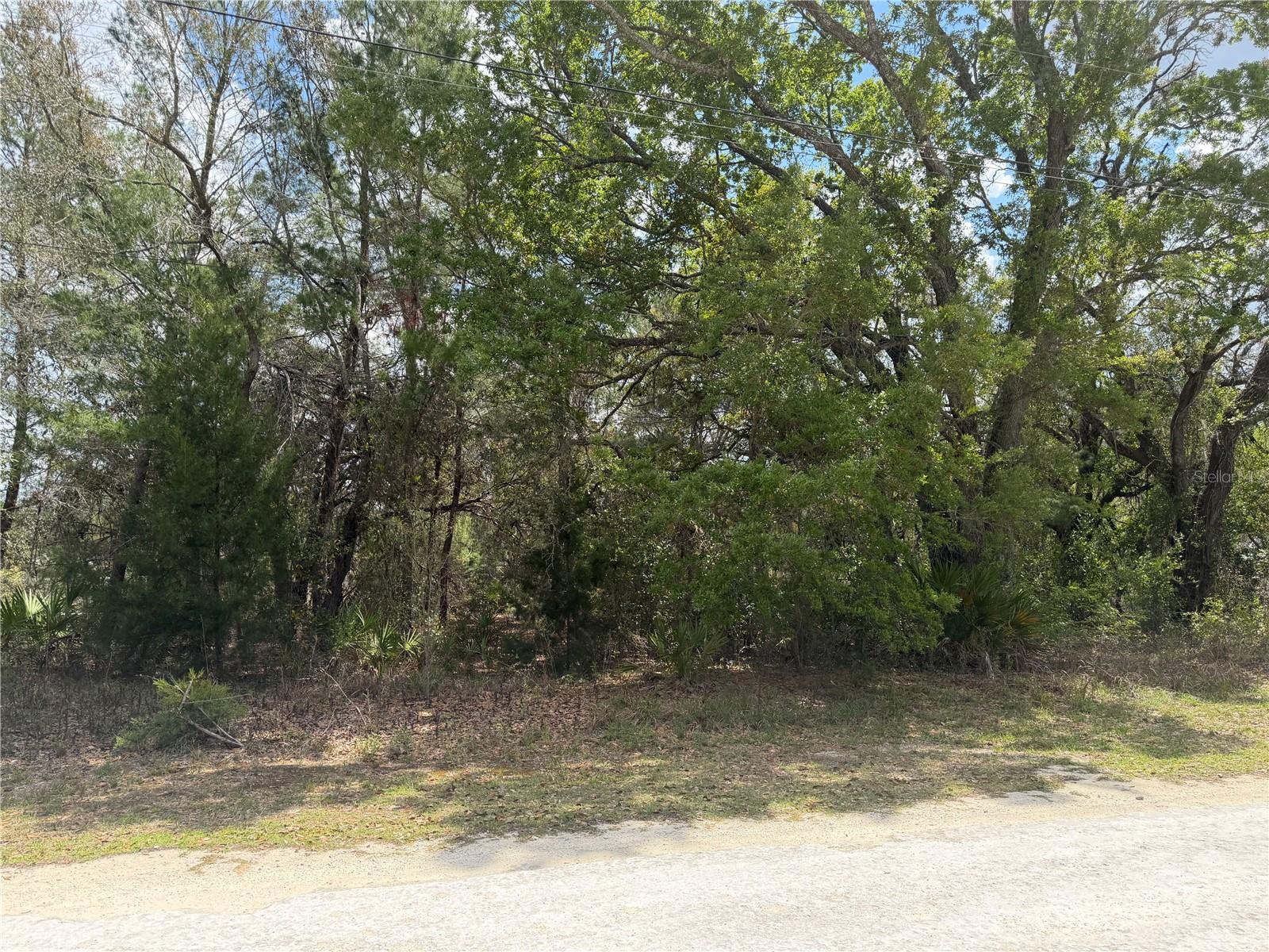 Image 6 of 9 For 0 Bastian Court