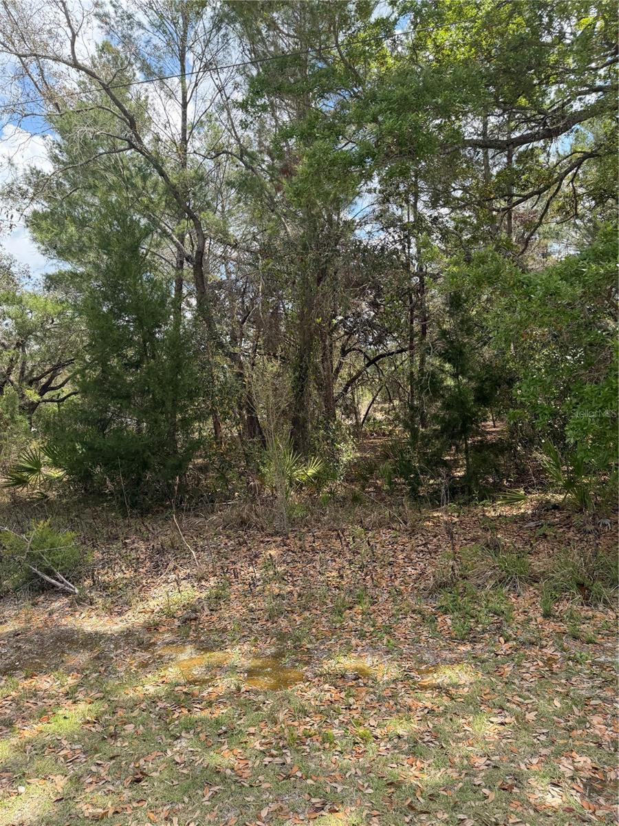 Image 7 of 9 For 0 Bastian Court