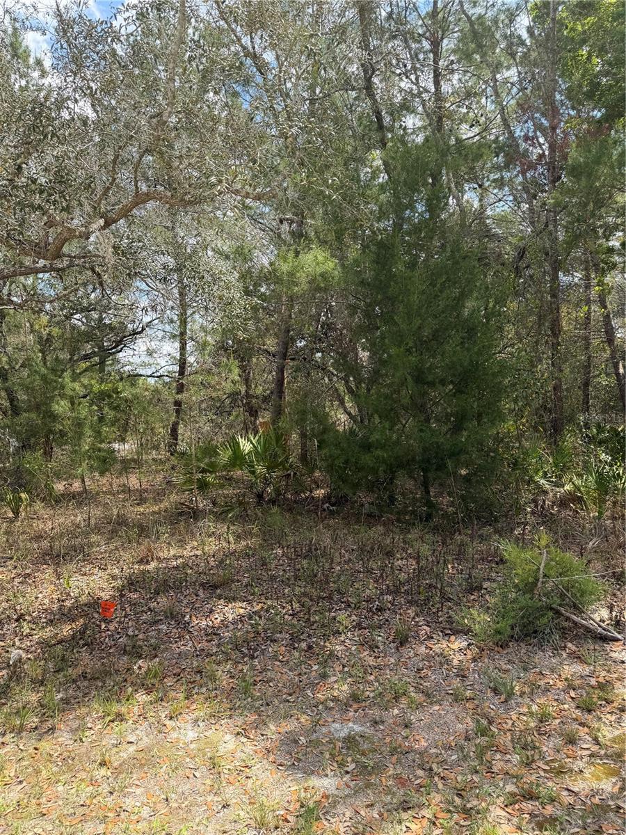 Image 8 of 9 For 0 Bastian Court