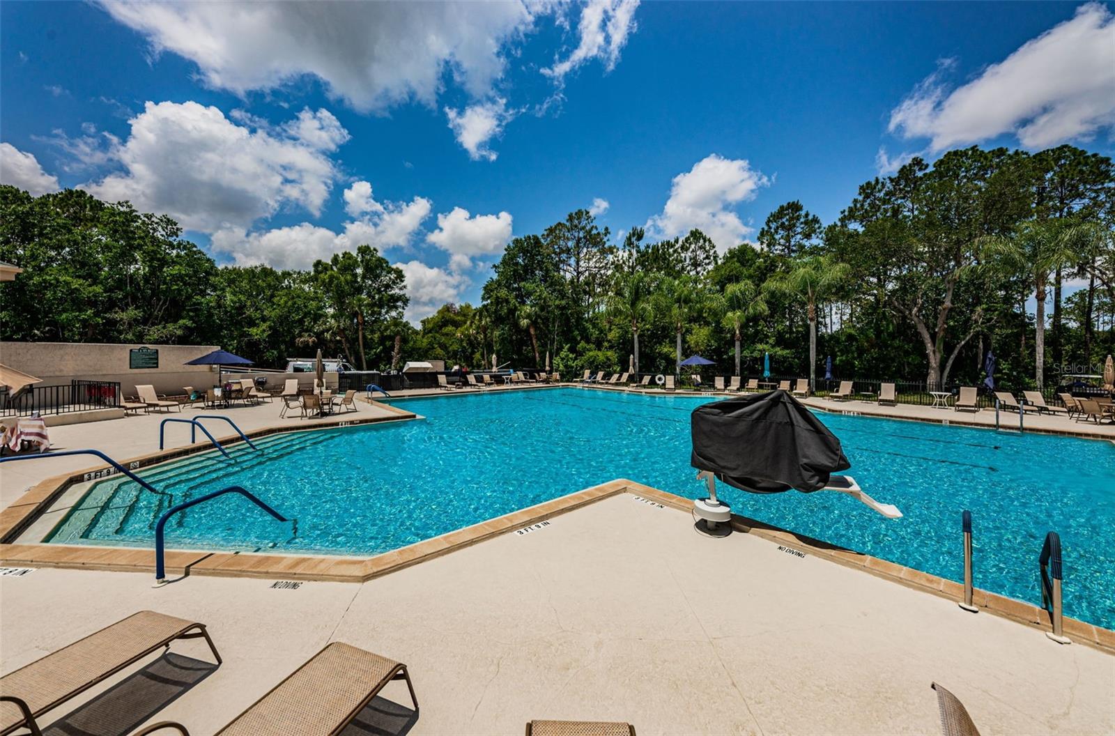Image 46 of 61 For 9307 Palm Haven Court