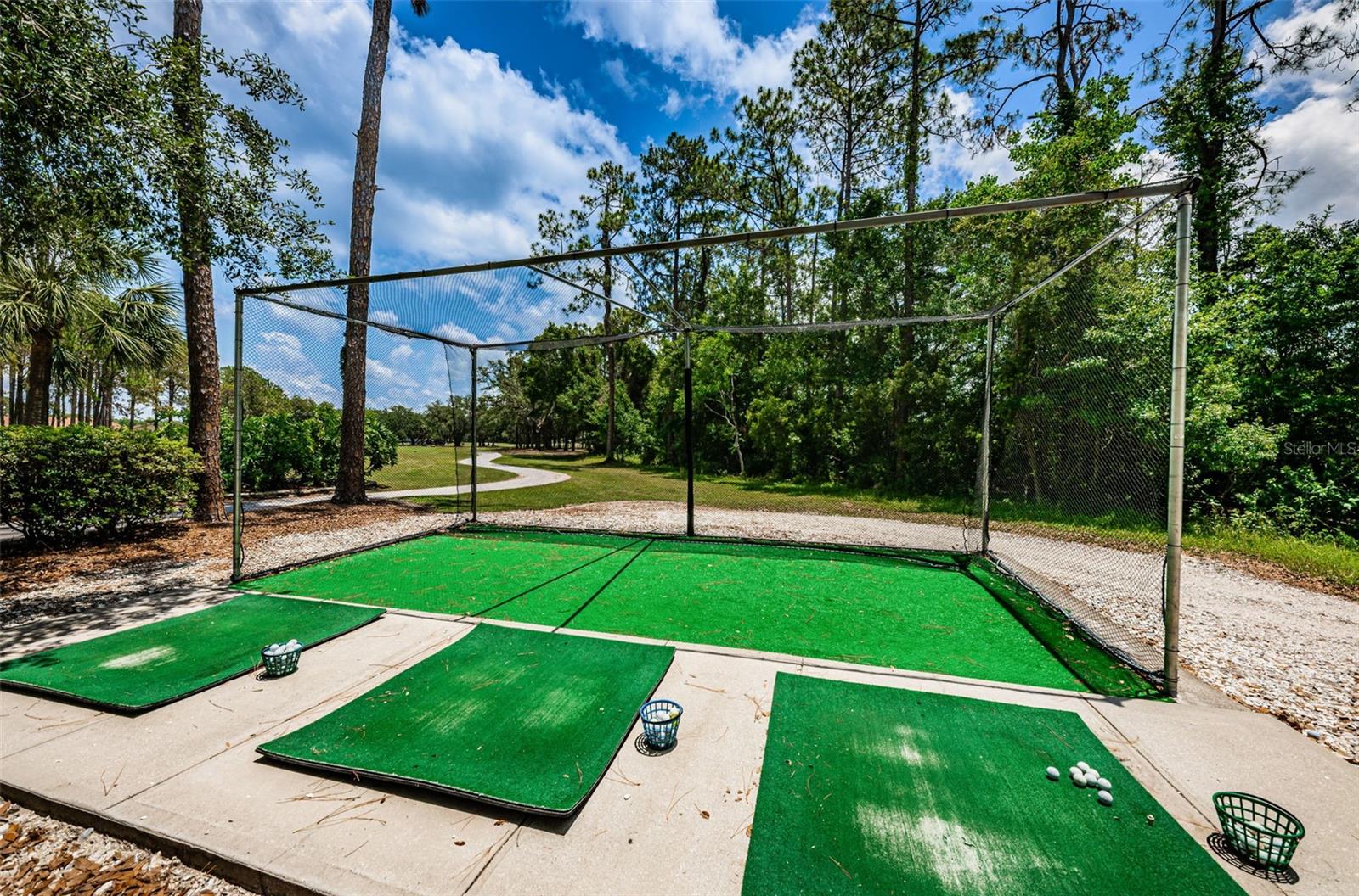 Image 55 of 61 For 9307 Palm Haven Court