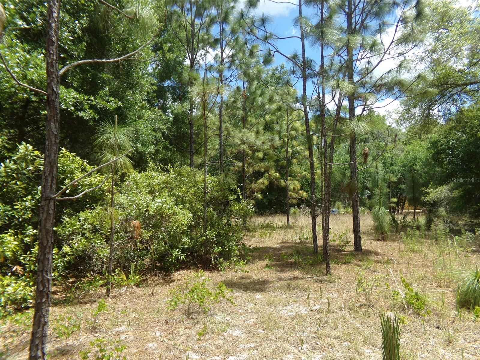 Image 3 of 13 For 000 Norman Street