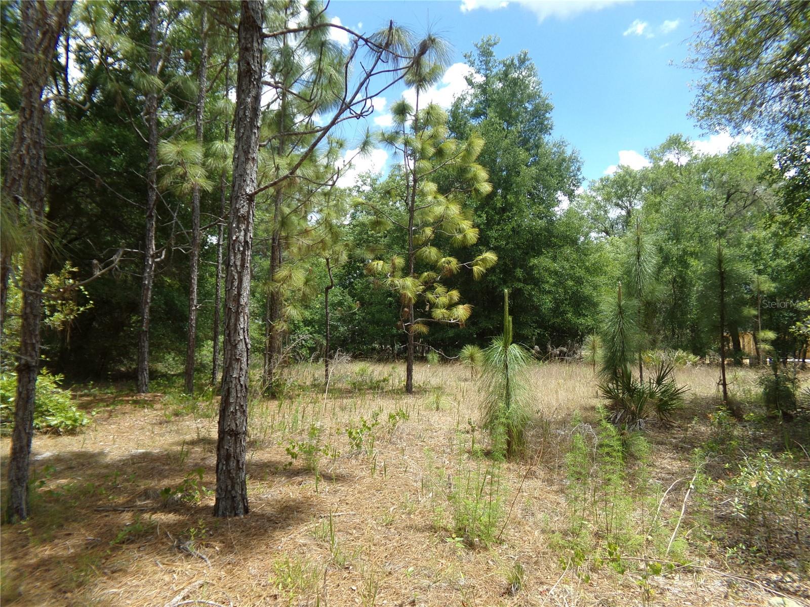 Image 4 of 13 For 000 Norman Street