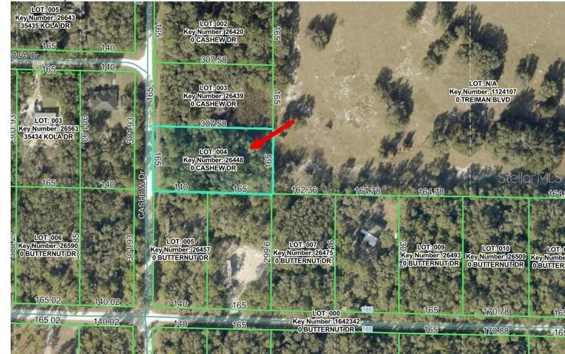 Details for 00 Cashew Drive, WEBSTER, FL 33597