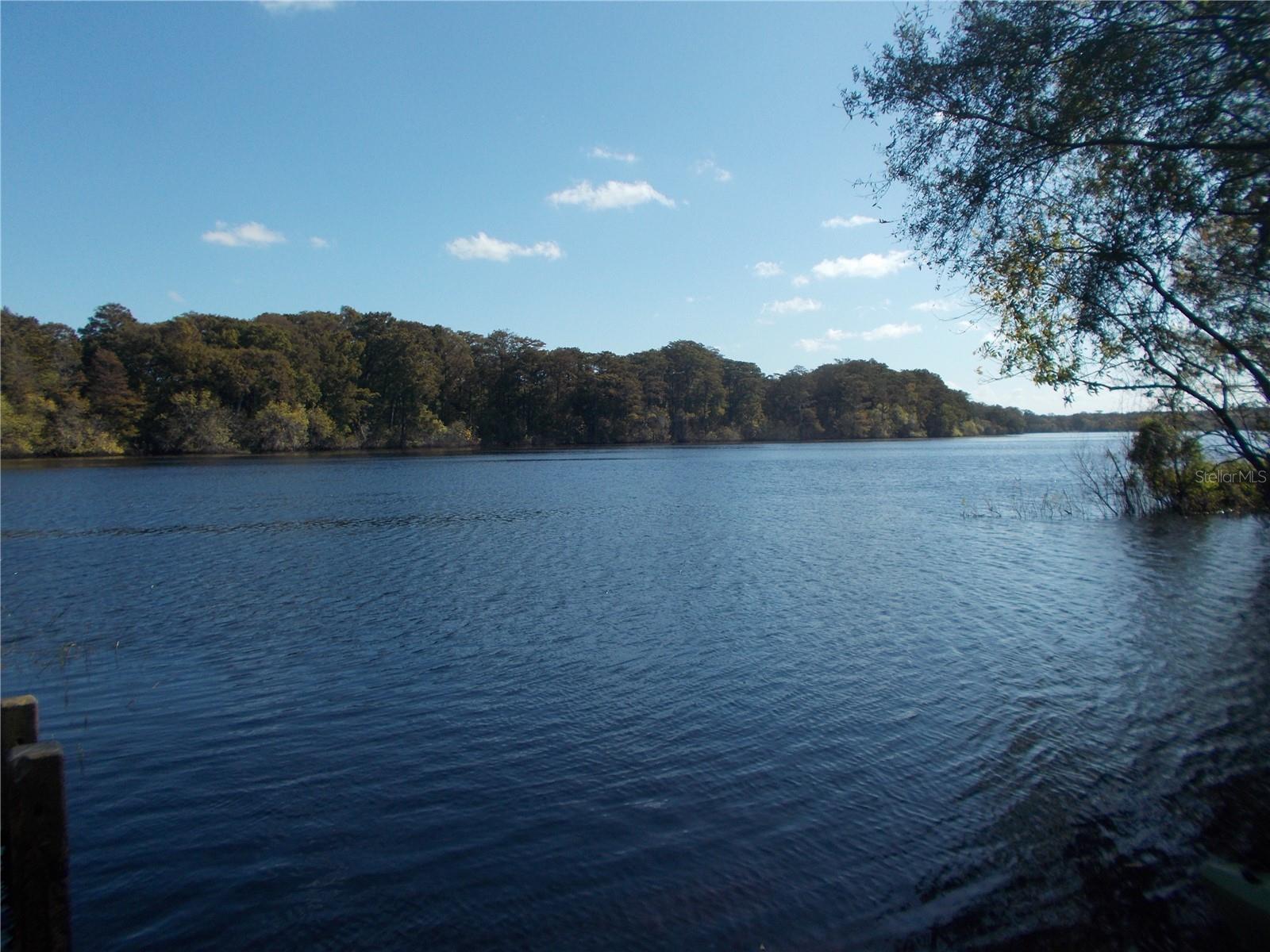 Image 10 of 14 For 00 Cashew Drive