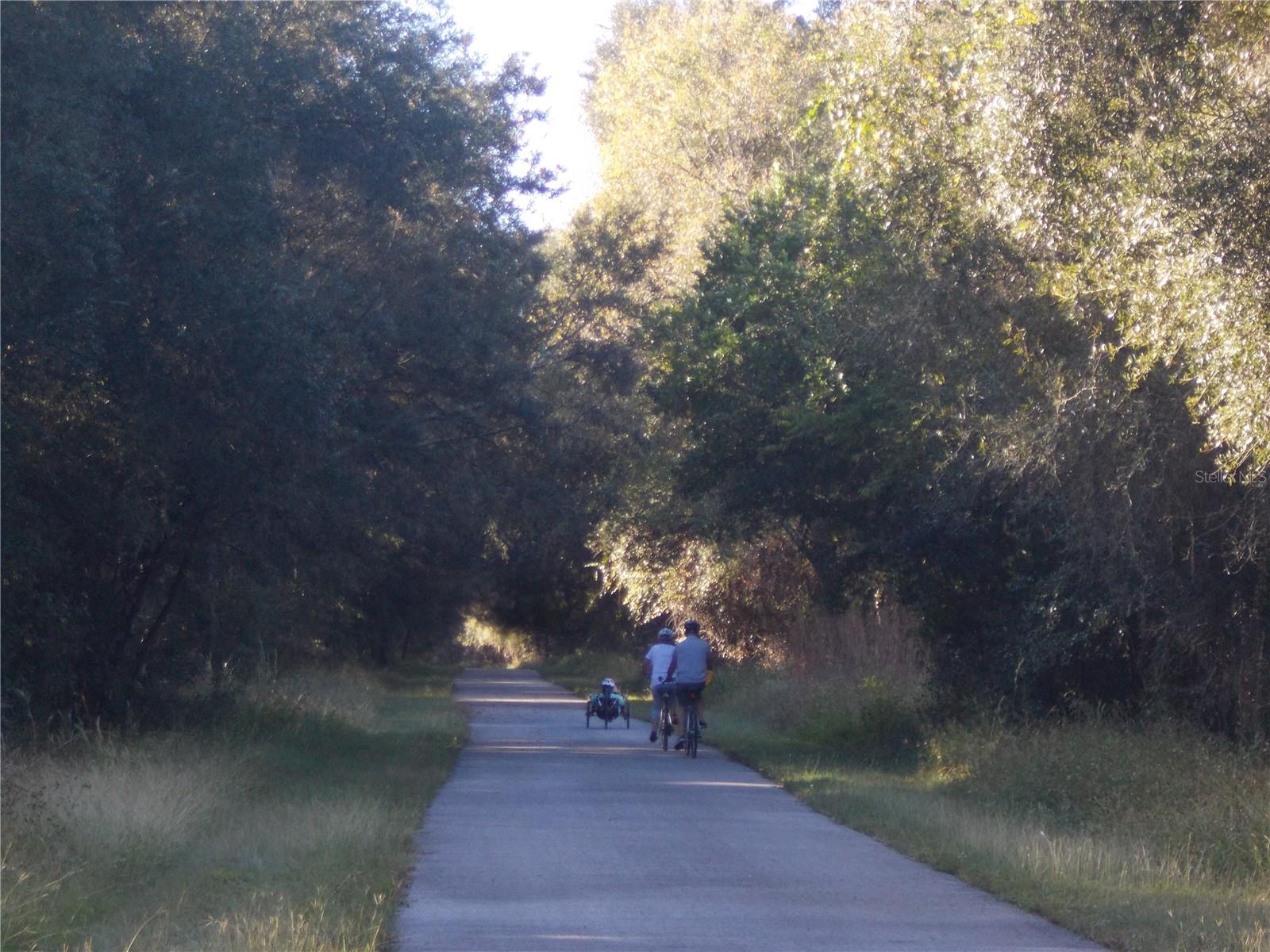 Image 8 of 14 For 00 Cashew Drive