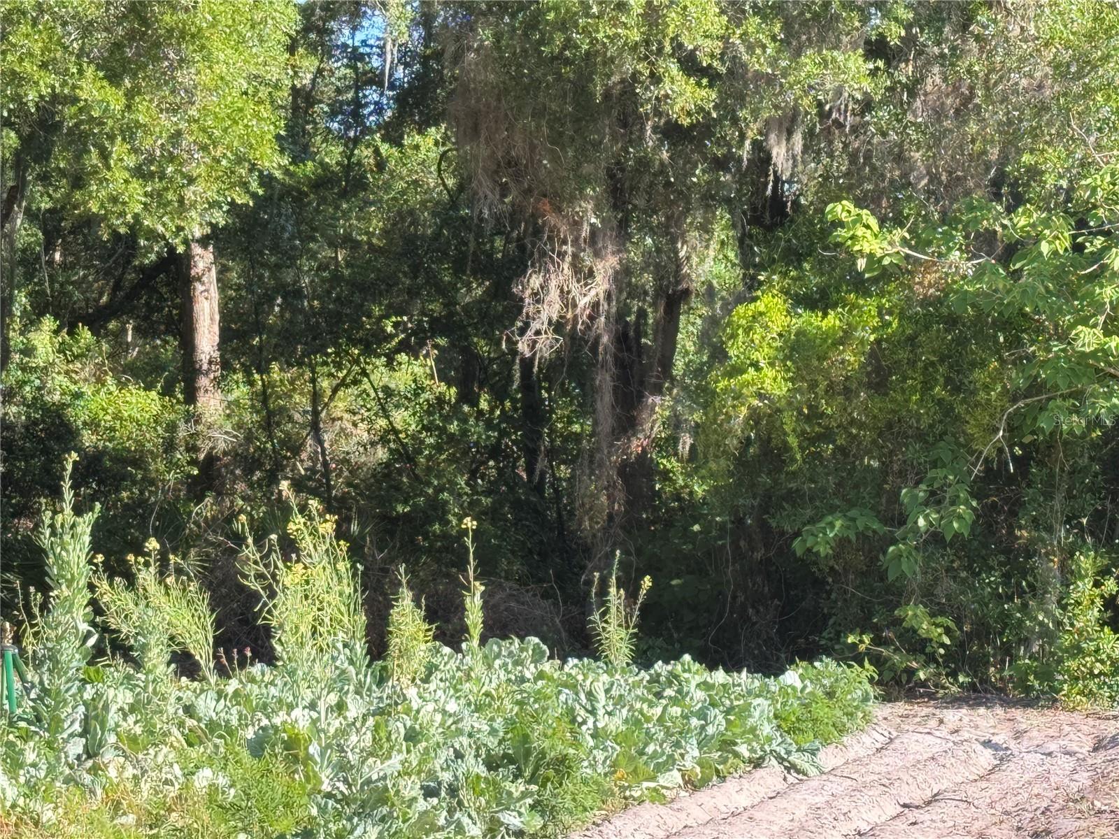 Image 2 of 12 For 00 County Road 213