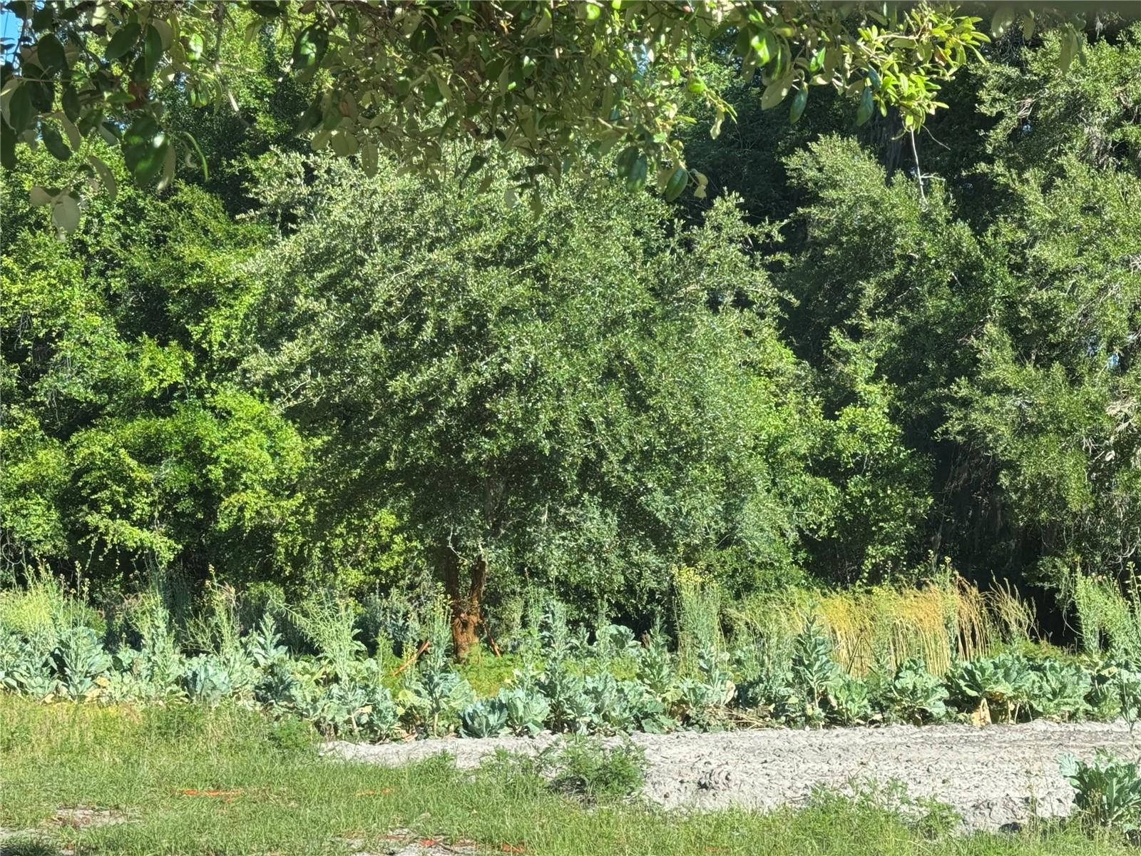 Image 3 of 12 For 00 County Road 213