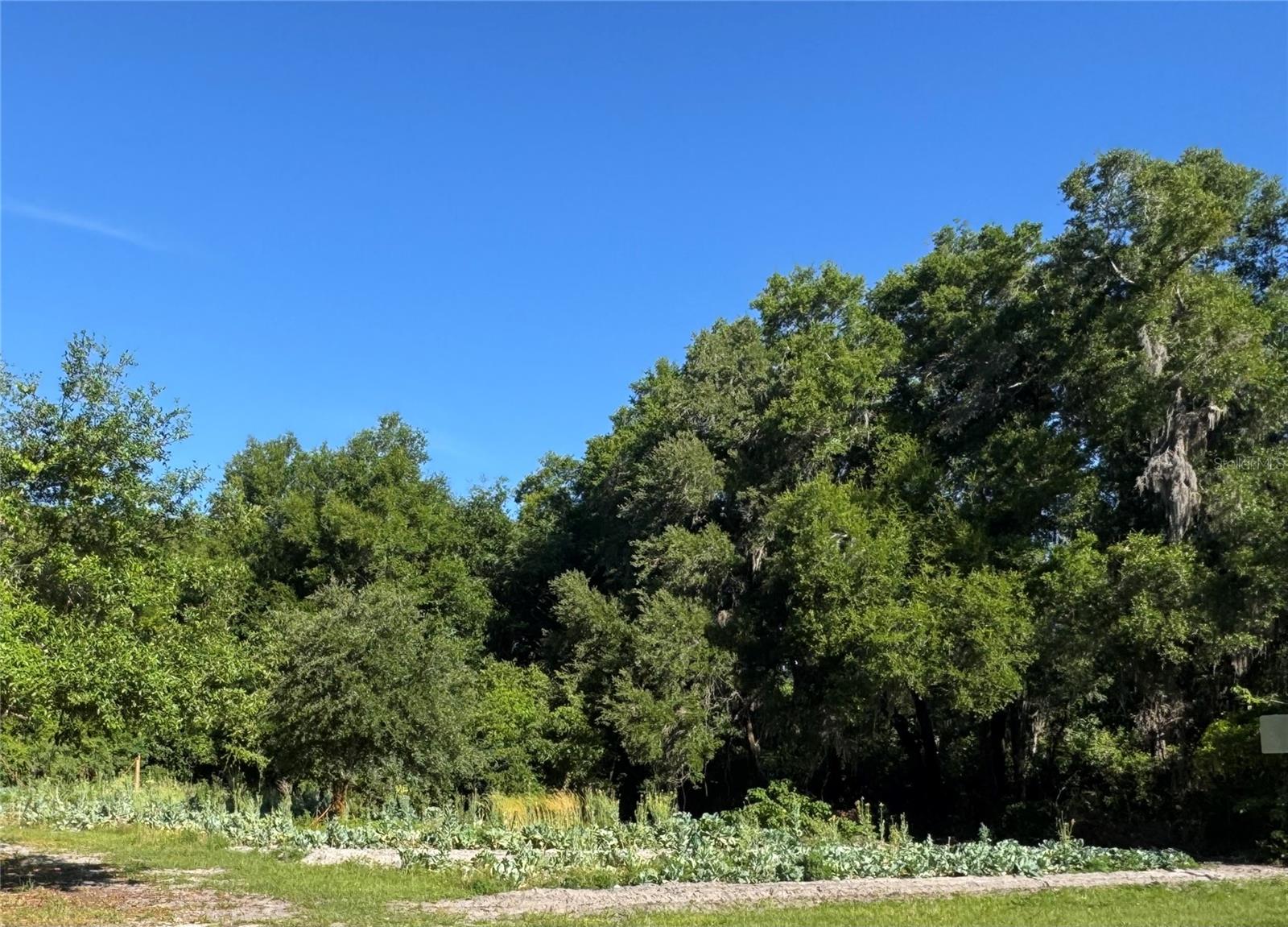 Image 4 of 12 For 00 County Road 213