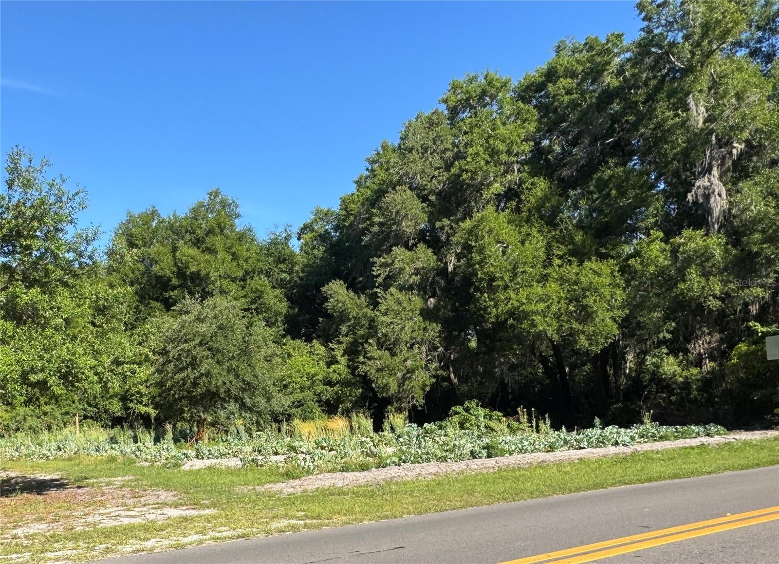 Image 5 of 12 For 00 County Road 213