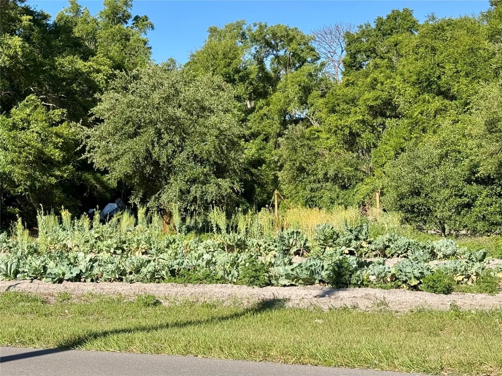 Image 6 of 12 For 00 County Road 213