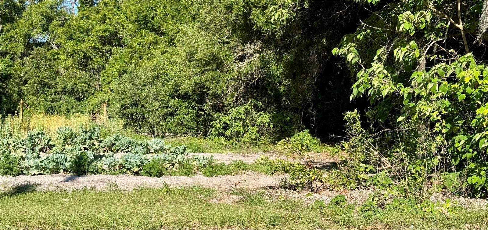 Image 7 of 12 For 00 County Road 213