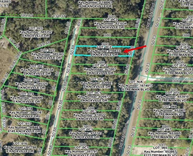 Details for Knoxville Drive, WEBSTER, FL 33597