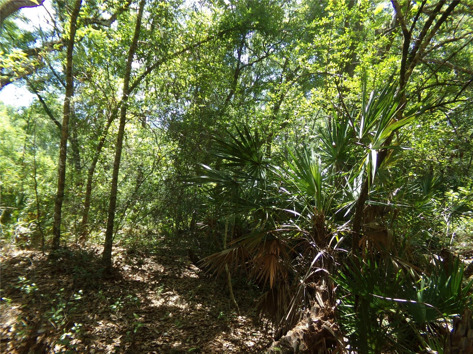 Image 2 of 15 For Knoxville Drive