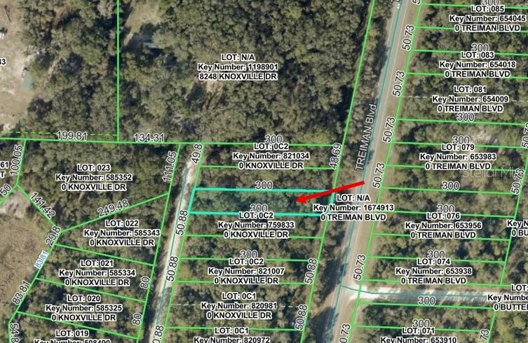 Details for Knoxville Drive, WEBSTER, FL 33597