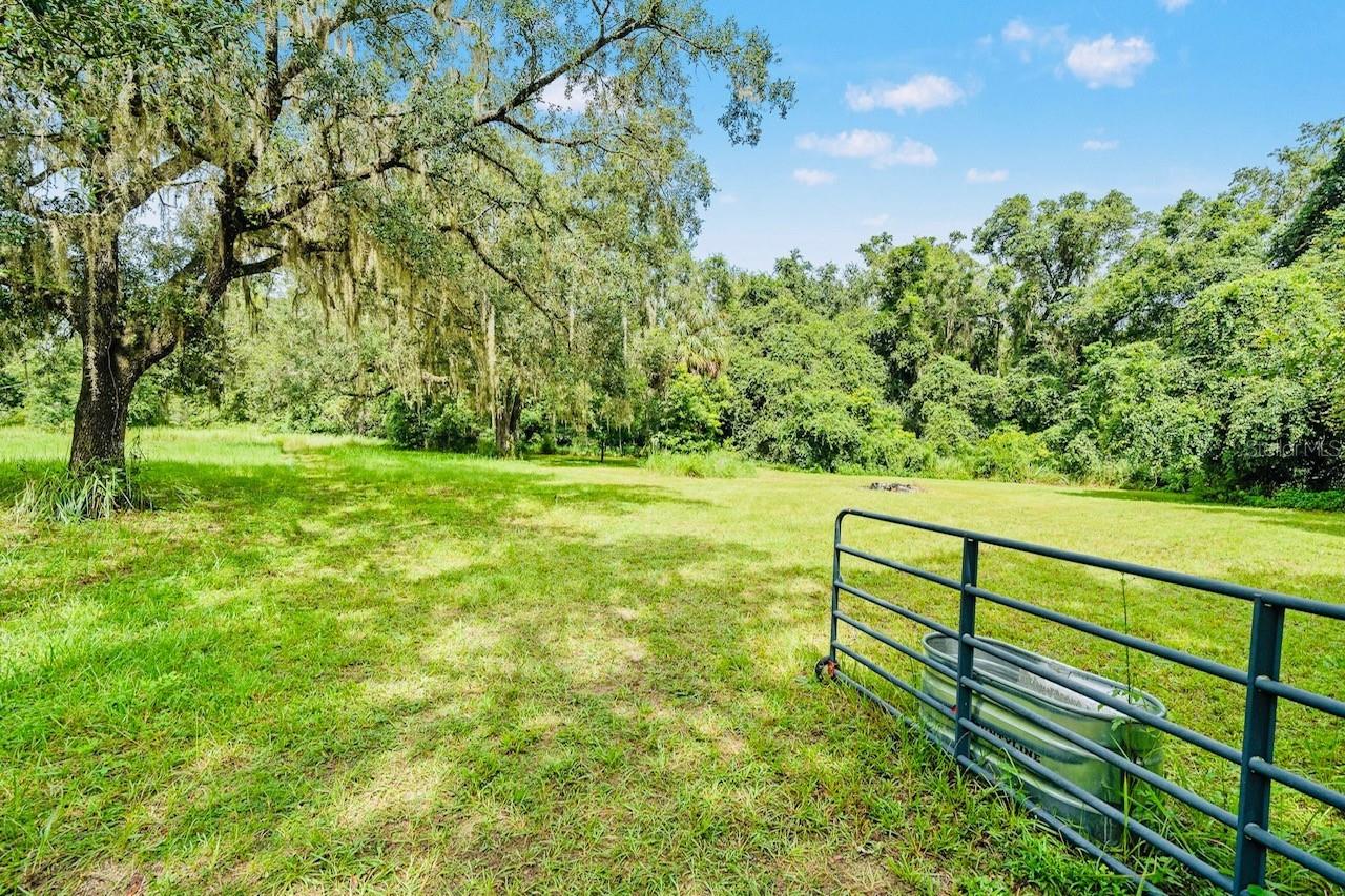 Image 8 of 28 For 10245 Trails End Road