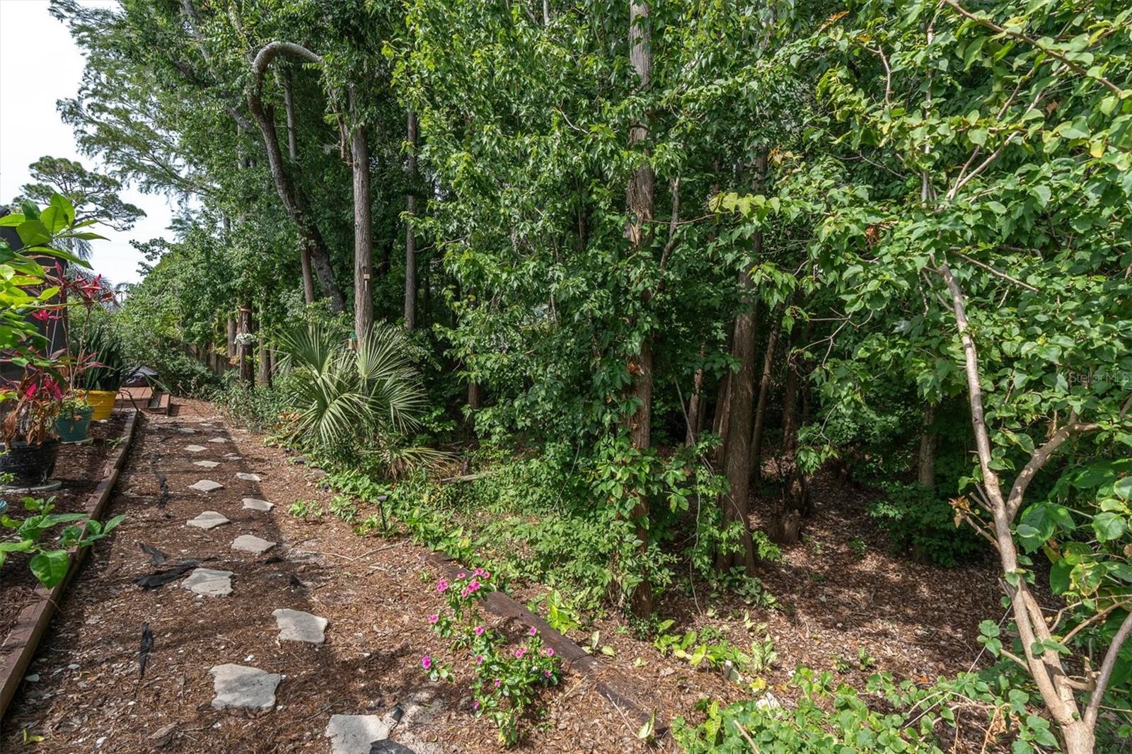 Image 38 of 45 For 1938 Wood Thrush Street