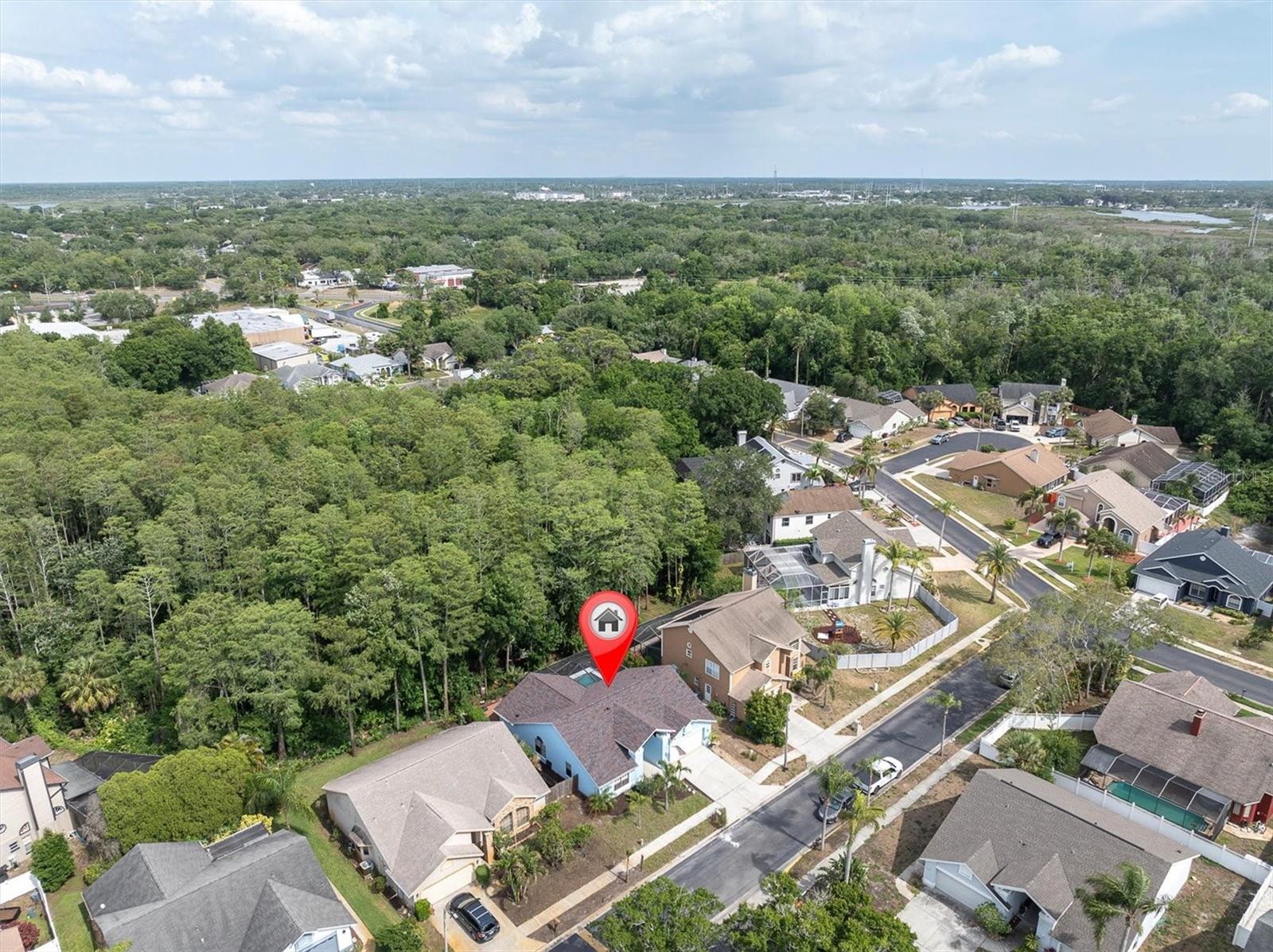 Image 41 of 45 For 1938 Wood Thrush Street