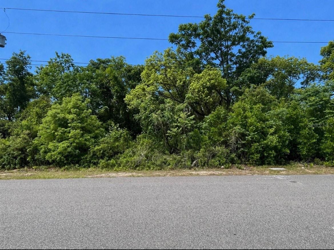 Image 2 of 3 For Bolger Avenue