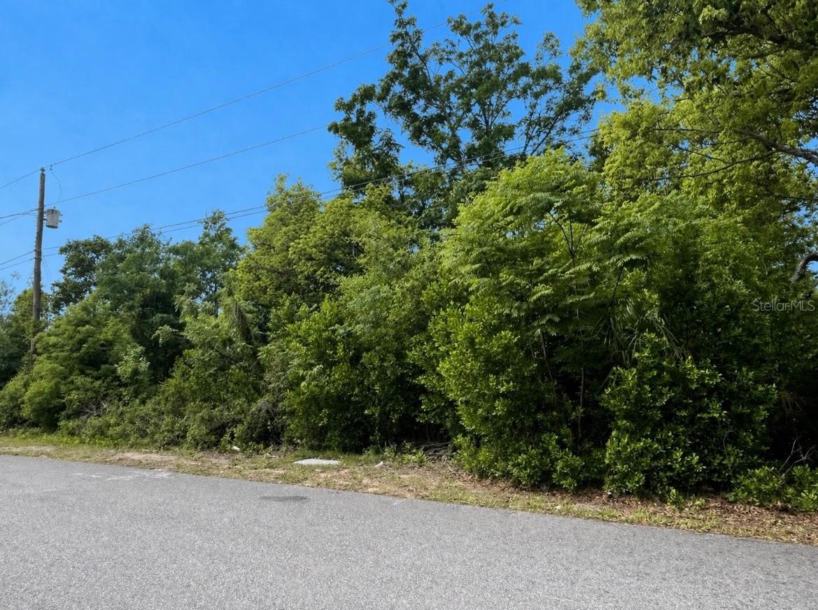 Image 3 of 3 For Bolger Avenue