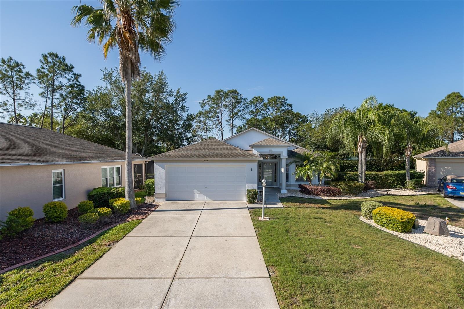 Details for 11428 Hidden Cove Court, TRINITY, FL 34655