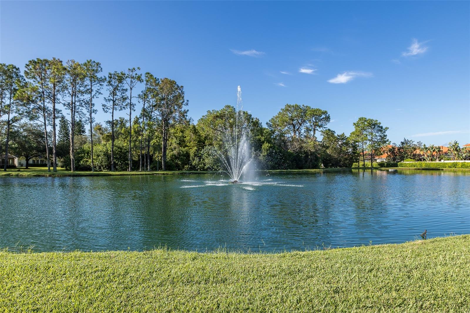 Image 92 of 98 For 11428 Hidden Cove Court