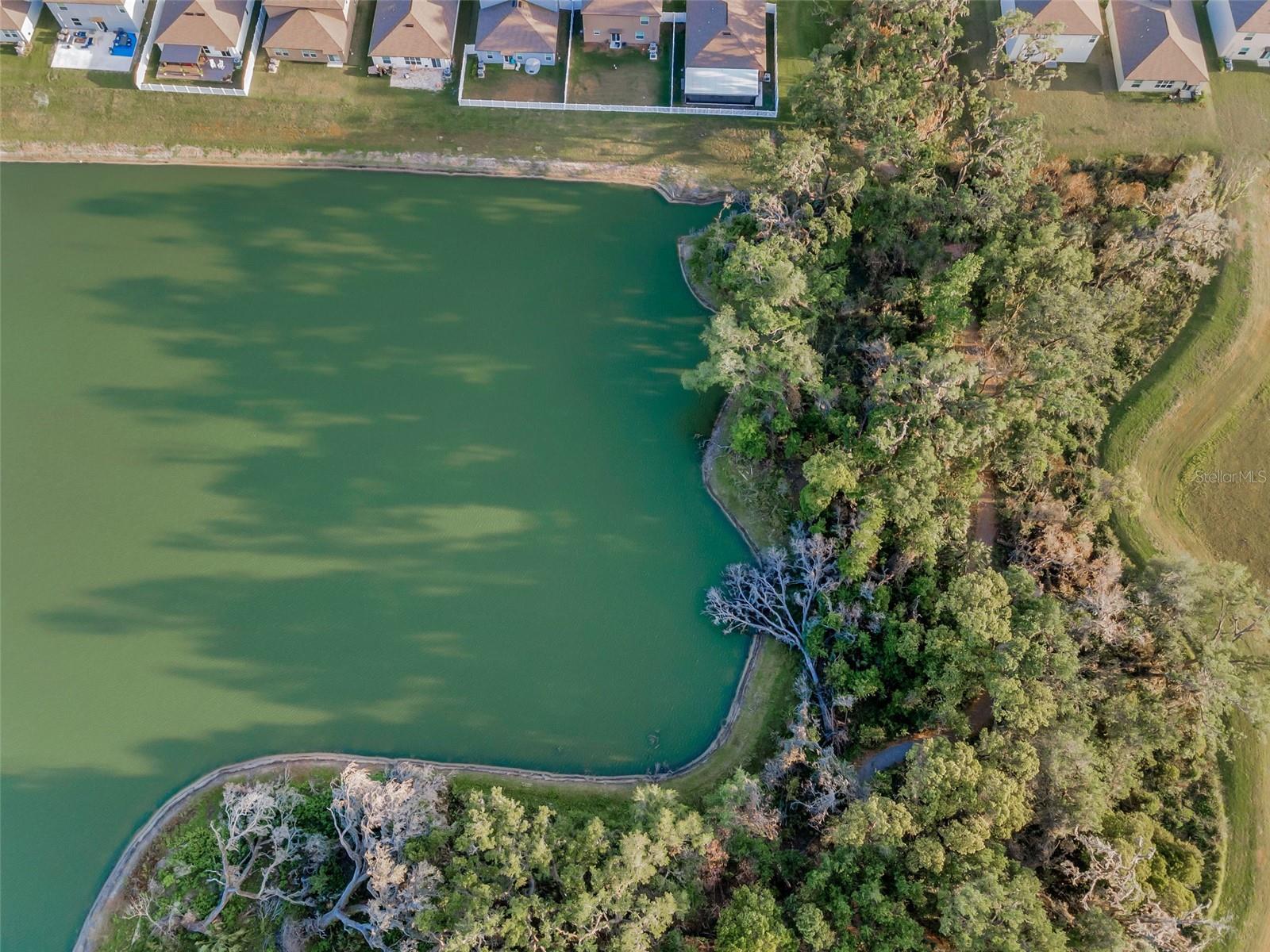 Image 47 of 100 For 36419 Flats Street