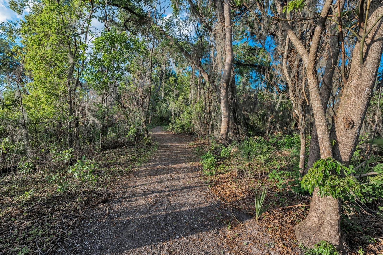 Image 67 of 100 For 36419 Flats Street