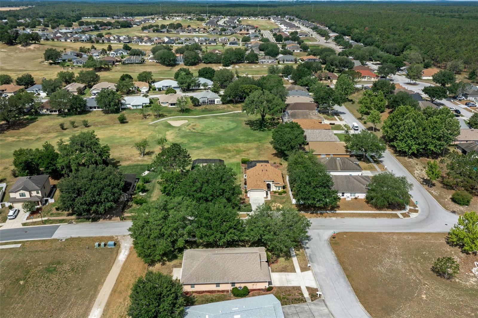 Image 39 of 40 For 7228 Crested Orchid Drive