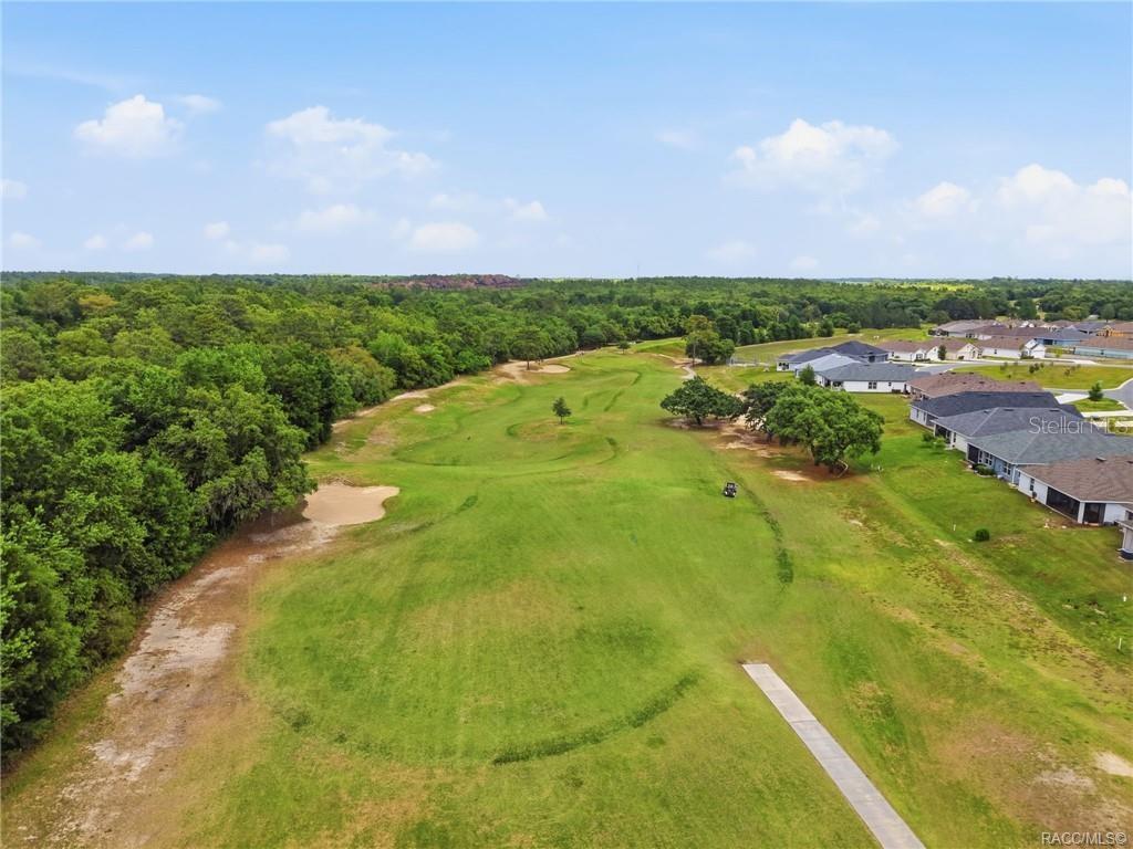 Image 91 of 99 For 539 Back Nine Circle