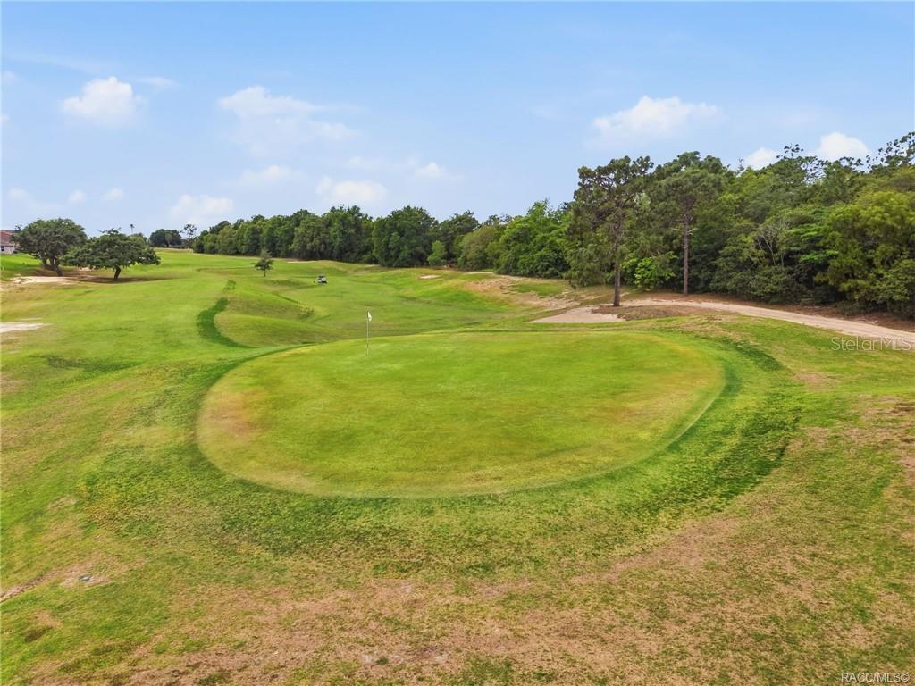 Image 93 of 99 For 539 Back Nine Circle