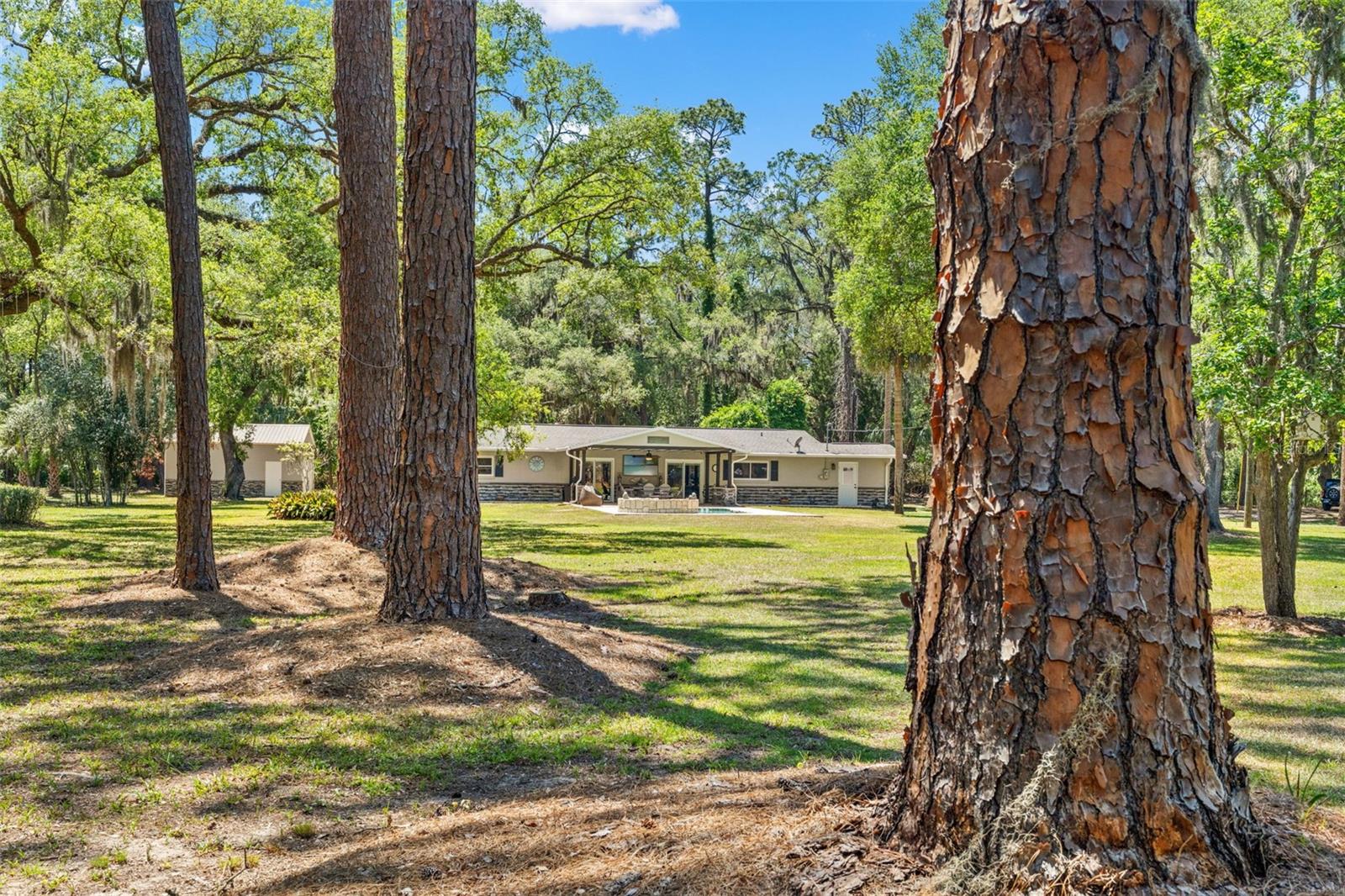 Image 55 of 89 For 7845 Flame Vine Way