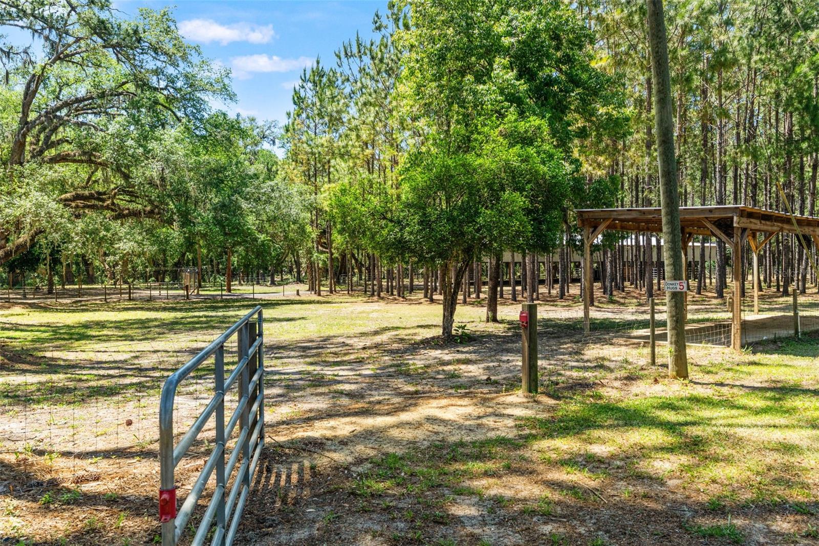 Image 69 of 89 For 7845 Flame Vine Way