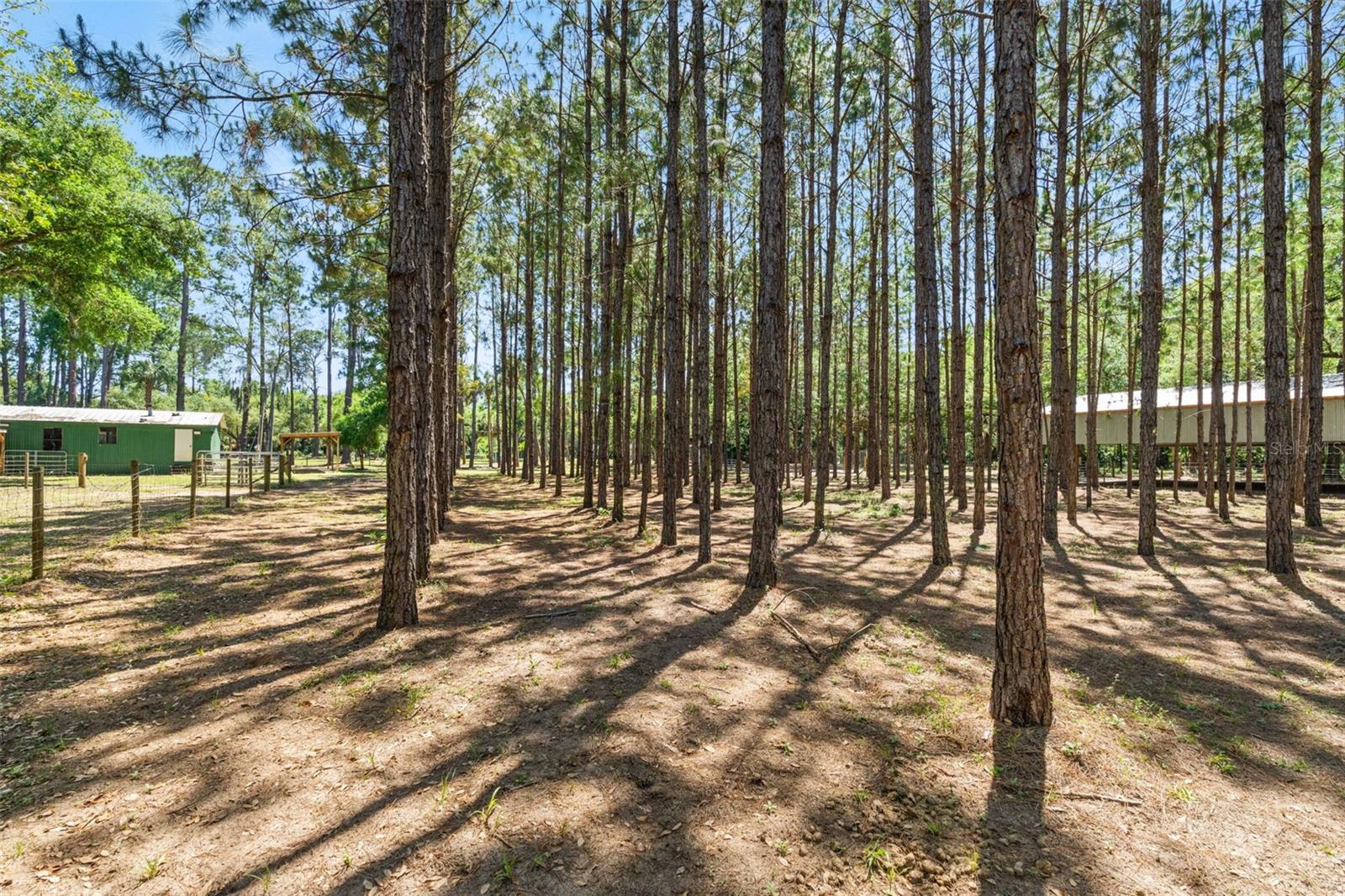 Image 71 of 89 For 7845 Flame Vine Way