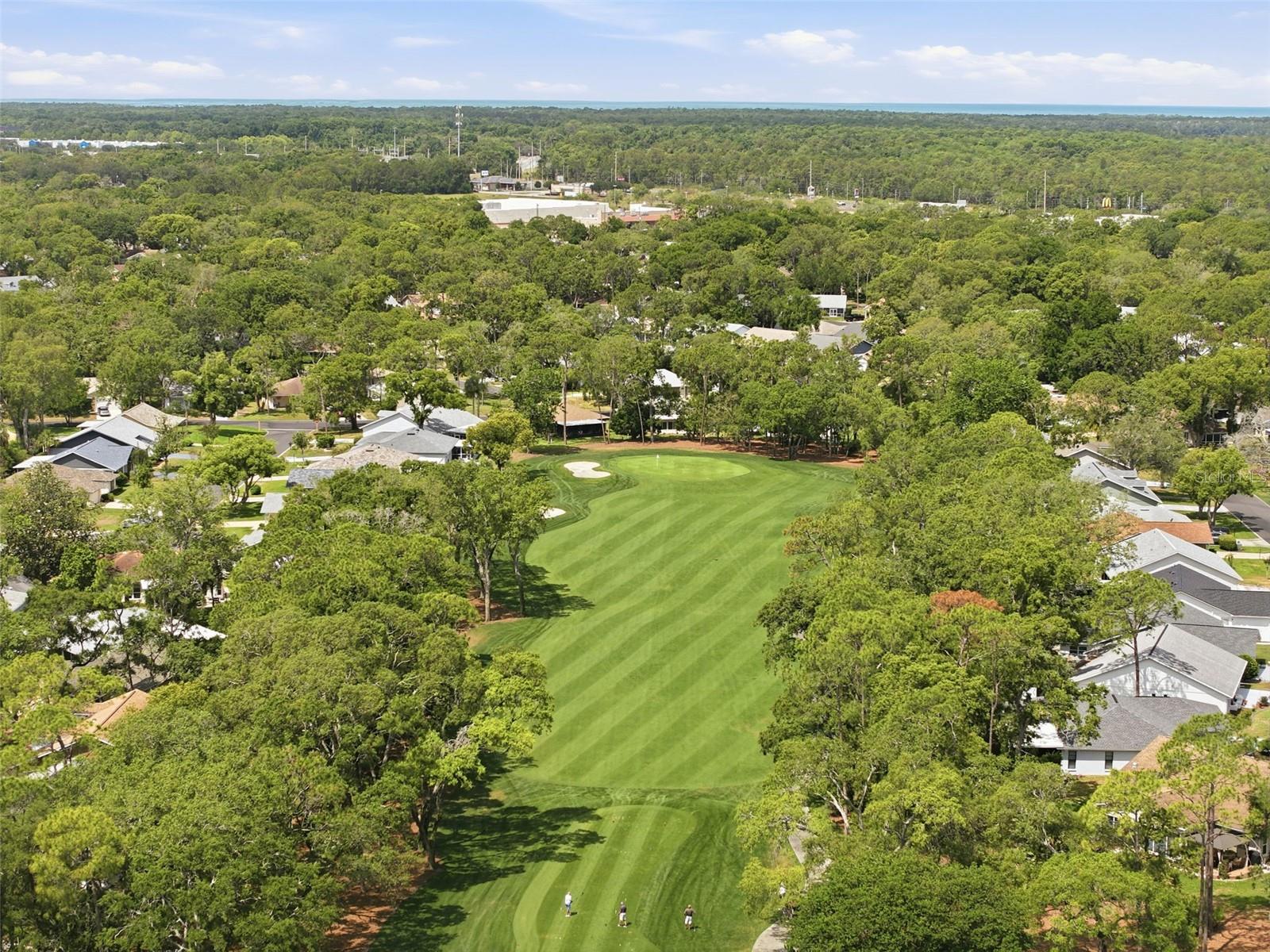 Image 66 of 70 For 6463 Putters Circle