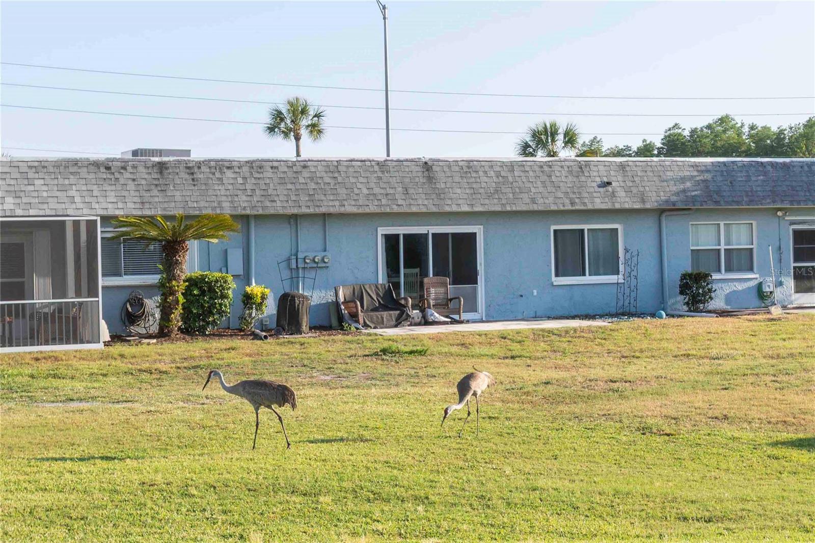 Image 35 of 61 For 9639 Greenskeeper Drive 9639
