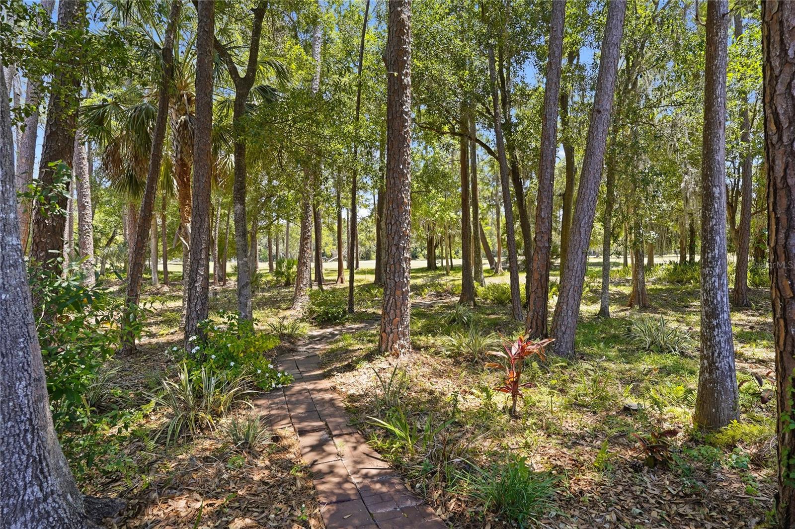 Image 43 of 48 For 3071 Bolt Drive