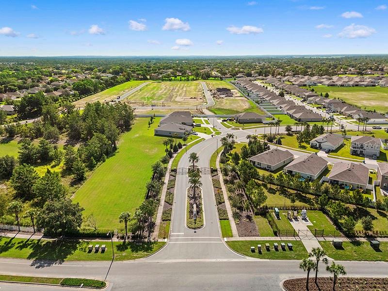 Image 46 of 62 For 13196 Golden Lime Avenue
