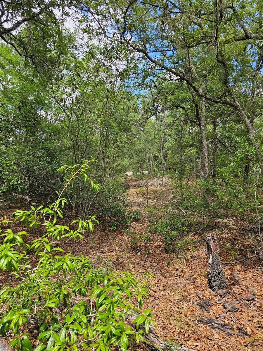 Image 12 of 12 For 2950 Pompano Lane