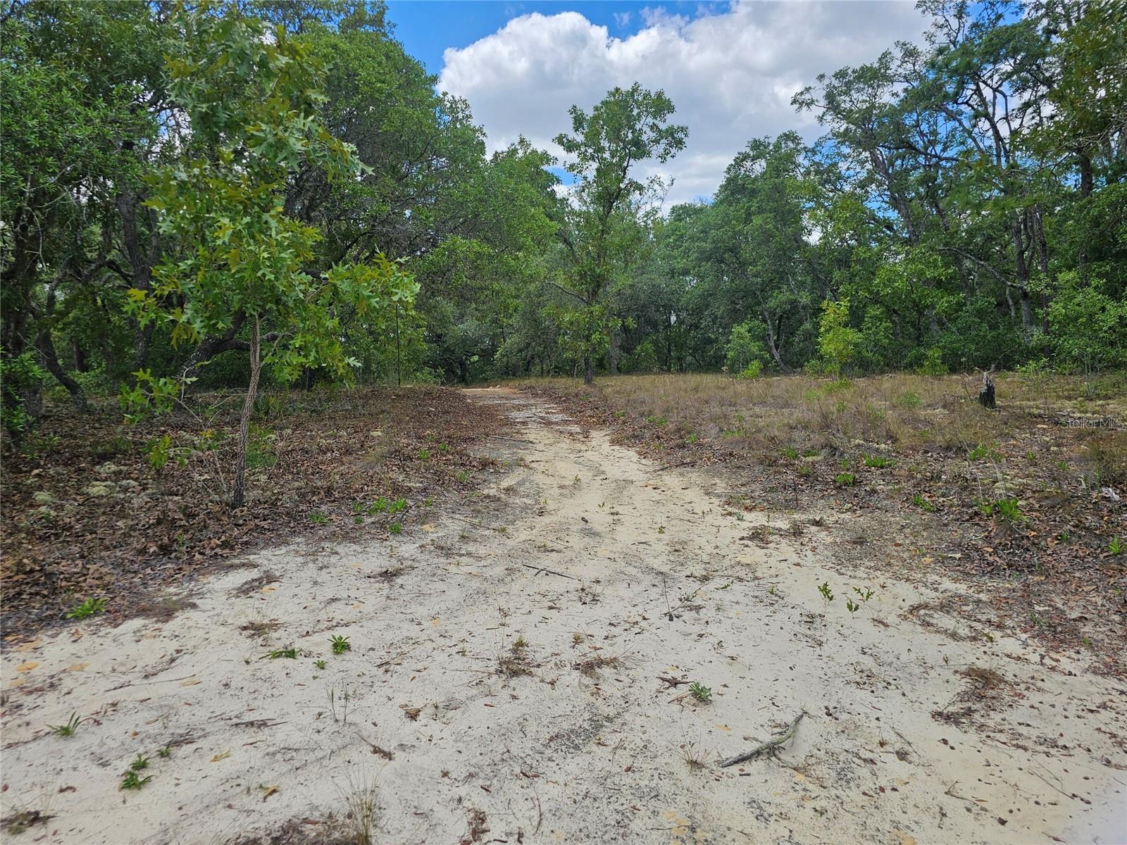 Image 8 of 12 For 2950 Pompano Lane