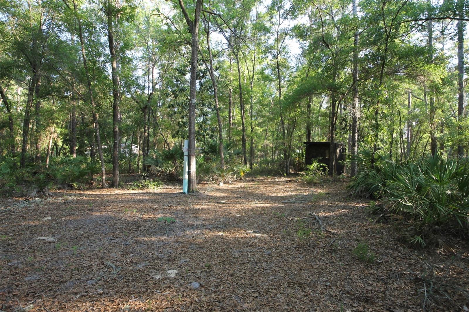 Details for 7982 Mayfair Drive, HOMOSASSA, FL 34448