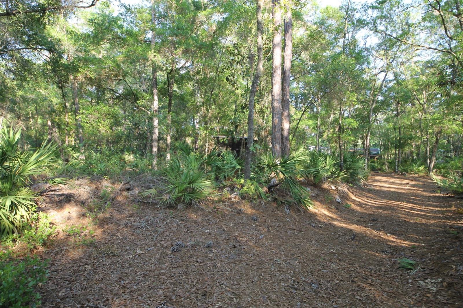 Image 8 of 9 For 7982 Mayfair Drive