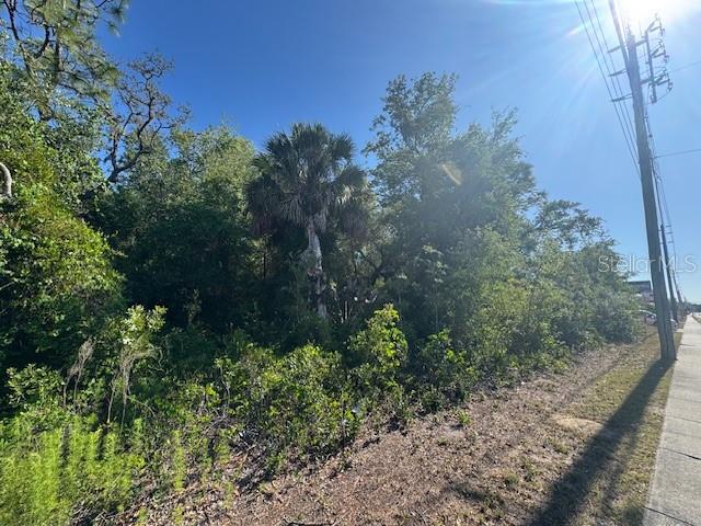 Image 4 of 19 For 10331 State Road 52