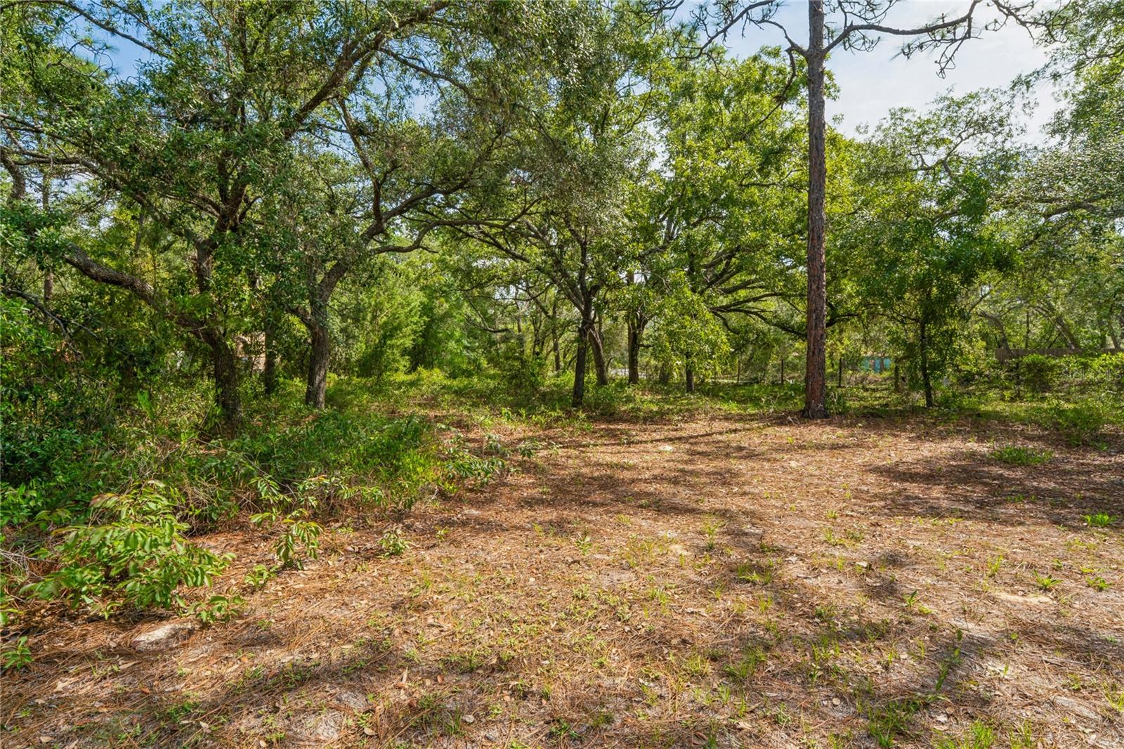 Image 33 of 47 For 14345 Missouri Skylark Road