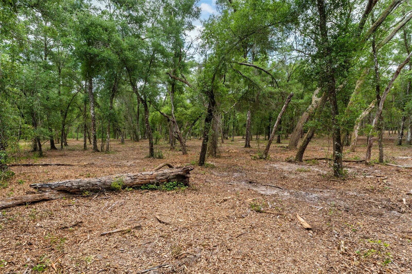 Image 3 of 12 For 6341 Nile Avenue
