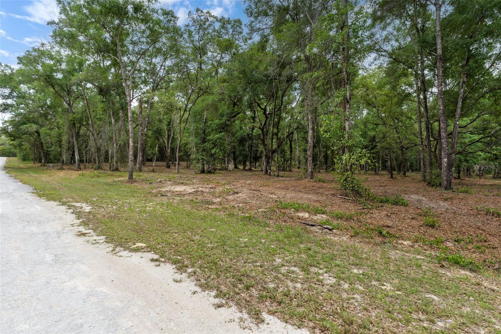 Image 5 of 12 For 6341 Nile Avenue