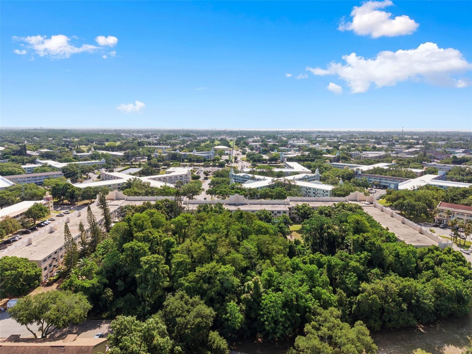 Image 59 of 62 For 2170 Americus Boulevard S 58