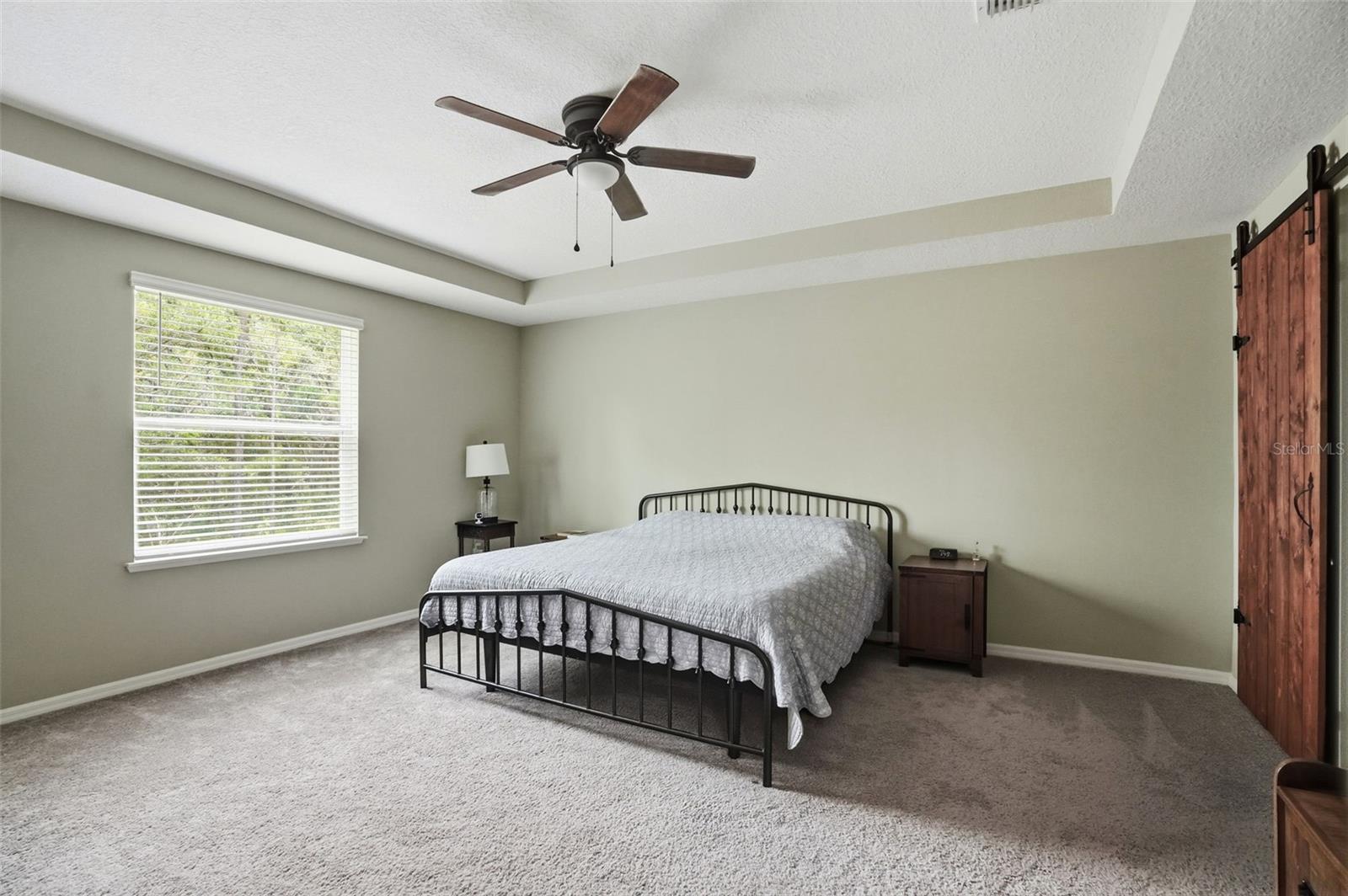 Listing photo id 23 for 39 Milbark Drive