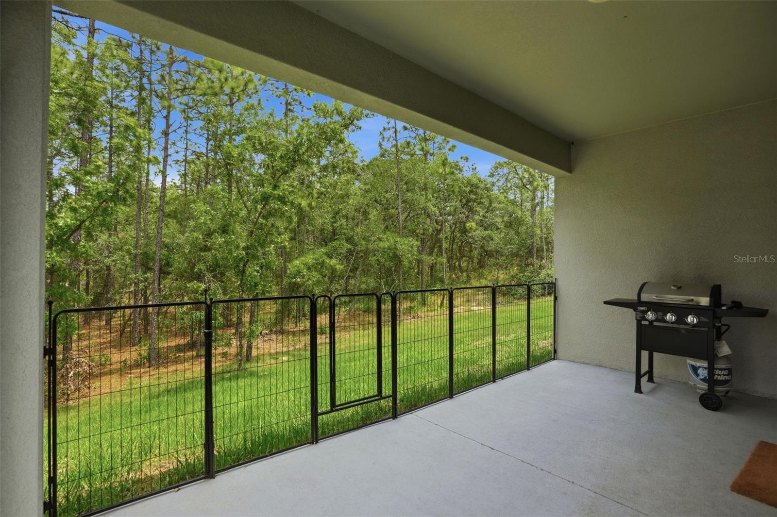 Listing photo id 44 for 39 Milbark Drive